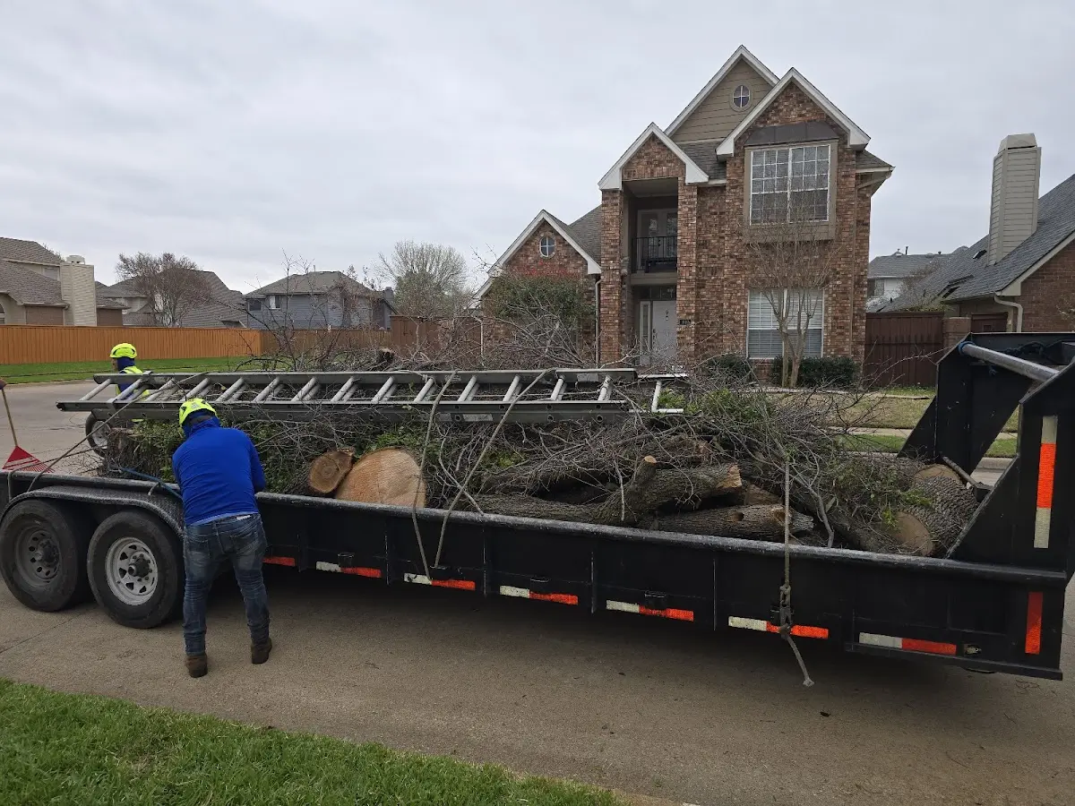 Expert Tree Removal with proper safety equipment in Glade Hill